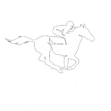 MLR International
